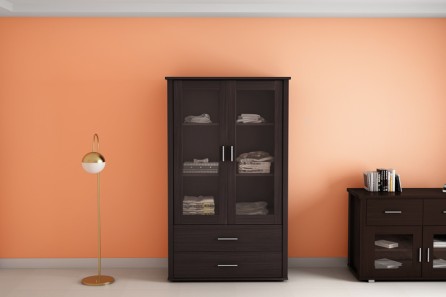 DISPLAY 2 DOOR CABINET