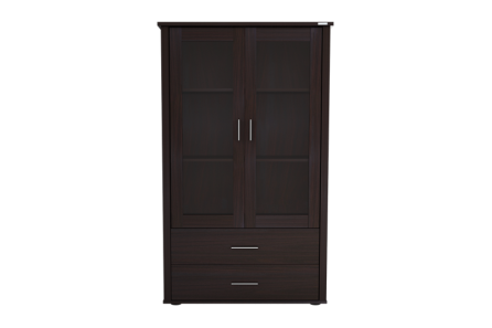 DISPLAY 2 DOOR CABINET