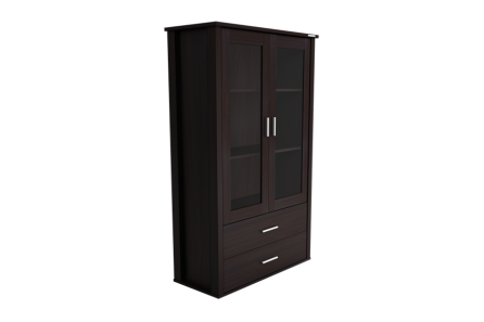 DISPLAY 2 DOOR CABINET